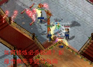 ���������ɱ��·���·�������ֽ���ָ��