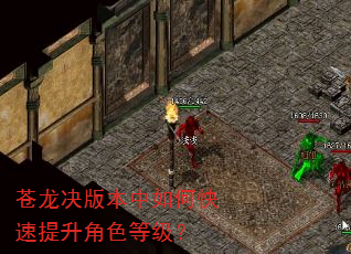 苍龙决版本中如何快速提升角色等级? 苍龙决版本中如何快速提升角色等级?
