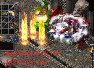 苍龙决版本中如何快速提升角色等级? 苍龙决版本中如何快速提升角色等级?