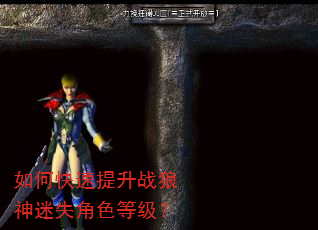 如何快速提升战狼神迷失角色等级? 如何快速提升战狼神迷失角色等级?