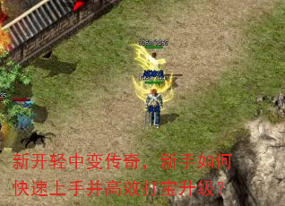 新开轻中变传奇,新手如何快速上手并高效打宝升级? 新开轻中变传奇,新手如何快速上手并高效打宝升级?