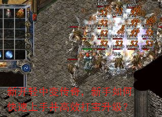 新开轻中变传奇,新手如何快速上手并高效打宝升级? 新开轻中变传奇,新手如何快速上手并高效打宝升级?