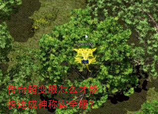 传奇超变服怎么才能快速成神称霸全服? 传奇超变服怎么才能快速成神称霸全服?