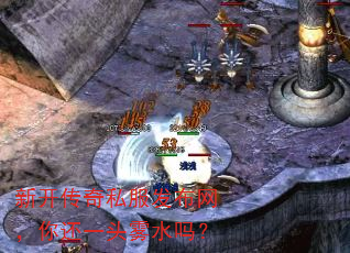新开传奇私服发布网,你还一头雾水吗? 新开传奇私服发布网,你还一头雾水吗?