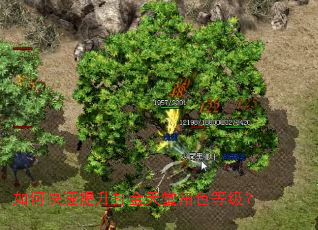 ��ο�������������ý�ɫ�ȼ���