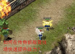 ����ڴ����·���������������ս����