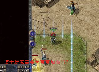道士玩家需要为宝宝加血吗? 道士玩家需要为宝宝加血吗?