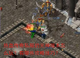 ��Ѫ����˽����Ԫ��汾��ô�棿����Щ���Լ��ɣ�