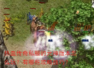 ��Ѫ����˽����Ԫ��汾��ô�棿����Щ���Լ��ɣ�