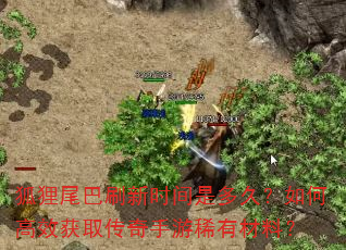 狐狸尾巴刷新时间是多久?如何高效获取传奇手游稀有材料? 狐狸尾巴刷新时间是多久?如何高效获取传奇手游稀有材料?
