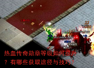 热血传奇勋章等级如何提升?有哪些获取途径与技巧? 热血传奇勋章等级如何提升?有哪些获取途径与技巧?