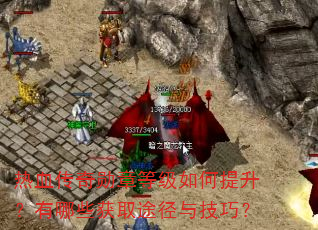 热血传奇勋章等级如何提升?有哪些获取途径与技巧? 热血传奇勋章等级如何提升?有哪些获取途径与技巧?