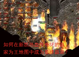 ������¿���Ѫ����SF��Ӯ��Ϊ����ͼ�г�Ϊ����Ӯ�ң�