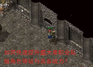 如何快速提升盛大单职业私服角色等级与装备战力? 如何快速提升盛大单职业私服角色等级与装备战力?