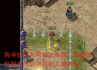 狗书价格为何如此高昂?难道仅仅因为传说中的私人服务吗? 狗书价格为何如此高昂?难道仅仅因为传说中的私人服务吗?