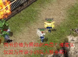 狗书价格为何如此高昂?难道仅仅因为传说中的私人服务吗? 狗书价格为何如此高昂?难道仅仅因为传说中的私人服务吗?