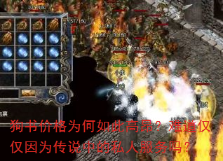 狗书价格为何如此高昂?难道仅仅因为传说中的私人服务吗? 狗书价格为何如此高昂?难道仅仅因为传说中的私人服务吗?