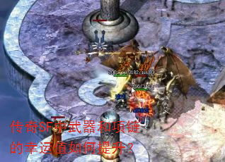 ����SF������������������ֵ���������