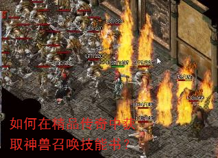 ����ھ�Ʒ�����л�ȡ�����ٻ������飿