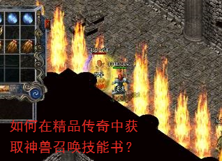 ����ھ�Ʒ�����л�ȡ�����ٻ������飿