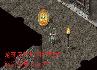 龙牙属性如何搭配才能发挥最大战力? 龙牙属性如何搭配才能发挥最大战力?