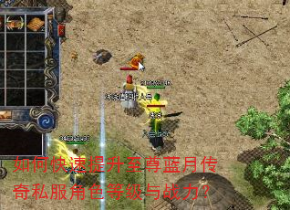 如何快速提升至尊蓝月传奇私服角色等级与战力? 如何快速提升至尊蓝月传奇私服角色等级与战力?