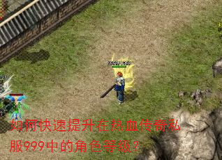 如何快速提升在热血传奇私服999中的角色等级? 如何快速提升在热血传奇私服999中的角色等级?