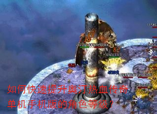 如何快速提升奥汀热血传奇单机手机版的角色等级? 如何快速提升奥汀热血传奇单机手机版的角色等级?