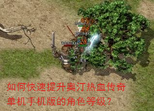 如何快速提升奥汀热血传奇单机手机版的角色等级? 如何快速提升奥汀热血传奇单机手机版的角色等级?