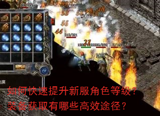 如何快速提升新服角色等级?装备获取有哪些高效途径? 如何快速提升新服角色等级?装备获取有哪些高效途径?