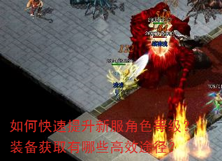 如何快速提升新服角色等级?装备获取有哪些高效途径? 如何快速提升新服角色等级?装备获取有哪些高效途径?