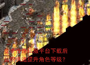 安卓传奇私服平台下载后如何快速提升角色等级? 安卓传奇私服平台下载后如何快速提升角色等级?