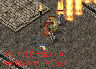如何快速提升星王1.80合击版本的角色等级? 如何快速提升星王1.80合击版本的角色等级?