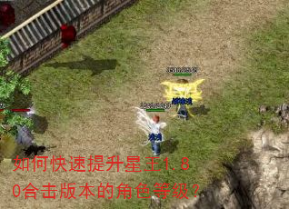 如何快速提升星王1.80合击版本的角色等级? 如何快速提升星王1.80合击版本的角色等级?