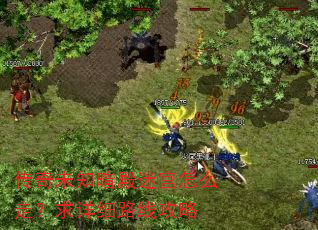 传奇未知暗殿迷宫怎么走?求详细路线攻略 传奇未知暗殿迷宫怎么走?求详细路线攻略