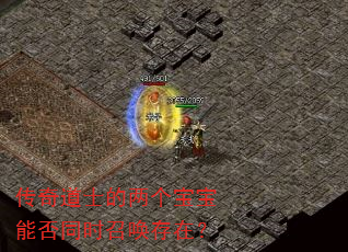 传奇道士的两个宝宝能否同时召唤存在? 传奇道士的两个宝宝能否同时召唤存在?