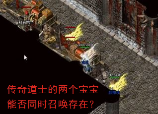 传奇道士的两个宝宝能否同时召唤存在? 传奇道士的两个宝宝能否同时召唤存在?
