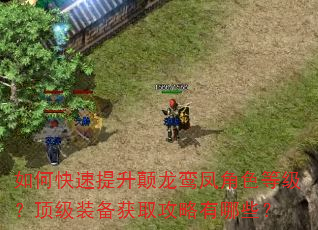 如何快速提升颠龙鸾凤角色等级?顶级装备获取攻略有哪些? 如何快速提升颠龙鸾凤角色等级?顶级装备获取攻略有哪些?