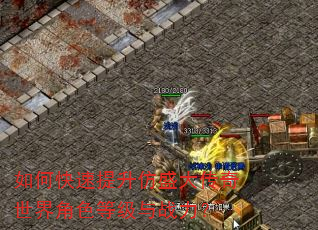 如何快速提升仿盛大传奇世界角色等级与战力? 如何快速提升仿盛大传奇世界角色等级与战力?