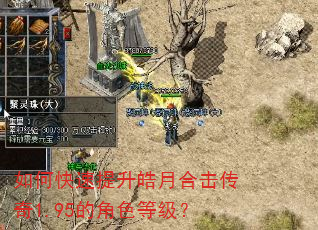 如何快速提升皓月合击传奇1.95的角色等级? 如何快速提升皓月合击传奇1.95的角色等级?