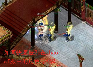 如何快速提升在zhaosf服中的角色等级? 如何快速提升在zhaosf服中的角色等级?