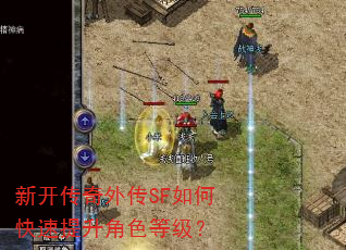 �¿������⴫SF��ο���������ɫ�ȼ���