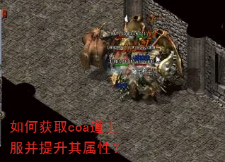 ��λ�ȡcoa��ʿ�������������ԣ�