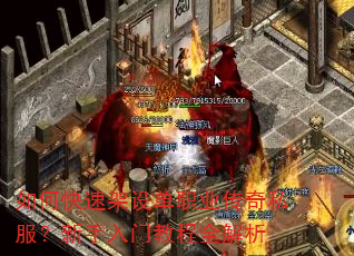 ��ο��ټ��赥ְҵ����˽�����������Ž̳�ȫ����