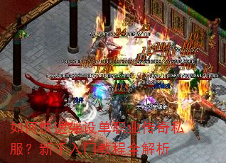 ��ο��ټ��赥ְҵ����˽�����������Ž̳�ȫ����