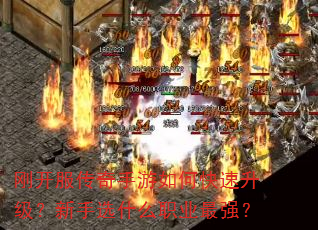 �տ�������������ο�������������ѡʲôְҵ��ǿ��