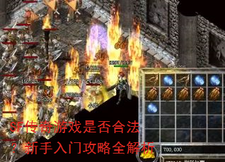 SF������Ϸ�Ƿ�Ϸ����������Ź���ȫ����