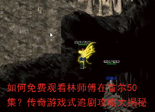 如何免费观看林师傅在首尔50集?传奇游戏式追剧攻略大揭秘 如何免费观看林师傅在首尔50集?传奇游戏式追剧攻略大揭秘