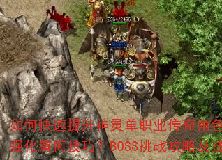 ��ο����������鵥ְҵ�����ɫ�ȼ���װ����ȡ��ǿ���кμ��ɣ�BOSS��ս���Լ����ܴ����Ƽ���
